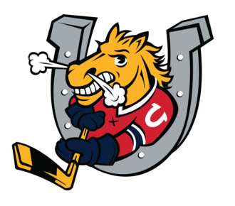 Barrie Colts